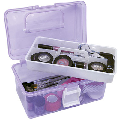 Medium Multi-Compartment Storage Box Transparency Purple DL-C298